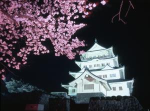 千葉城と夜桜