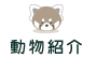 動物紹介