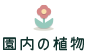 園内の植物