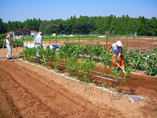 中田市民農園