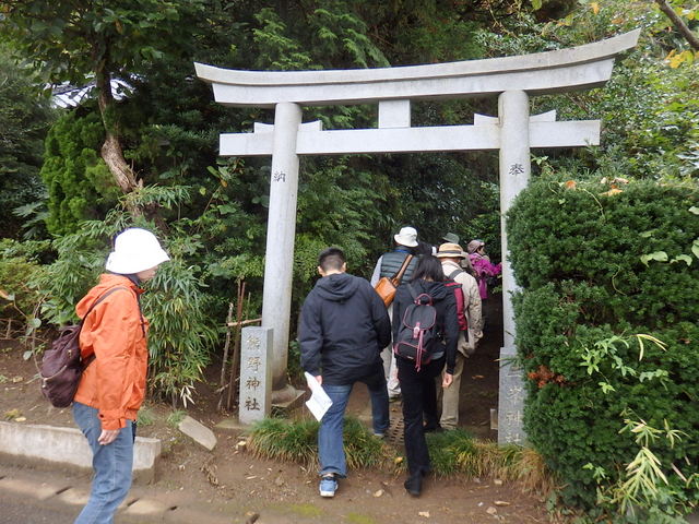 昭和の森自然観察第322回3時間コース「秋の小山町散歩」
