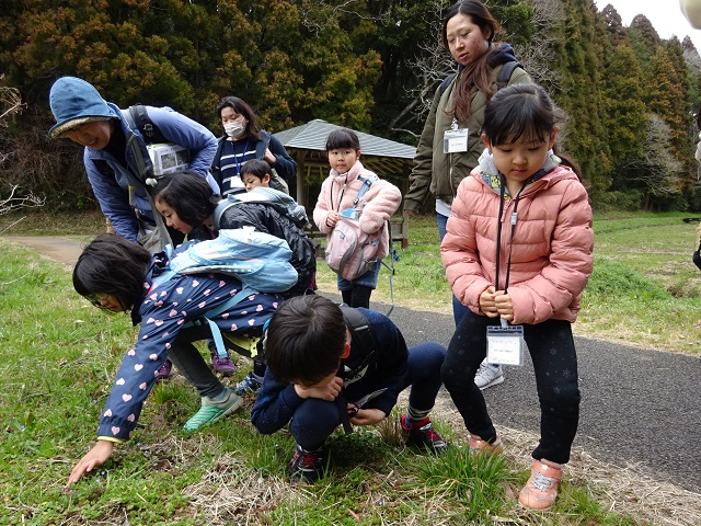 第327回昭和の森自然観察「早春の生き物たち」
