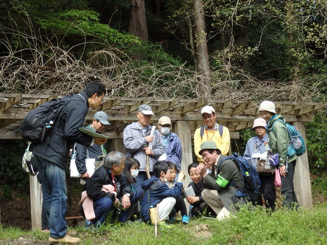 第328回昭和の森自然観察「春の花」