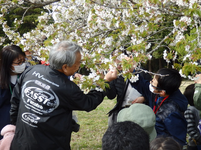 第328回昭和の森自然観察「春の花」