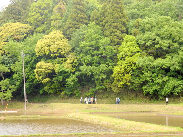 昭和の森自然観察会「土気城址方面を訪ねて」