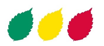 ユニフォーム詳細4