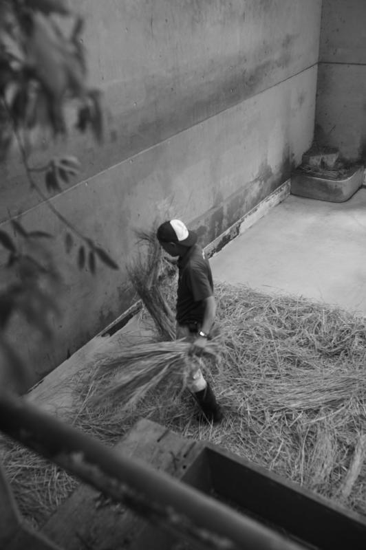 動物公園4