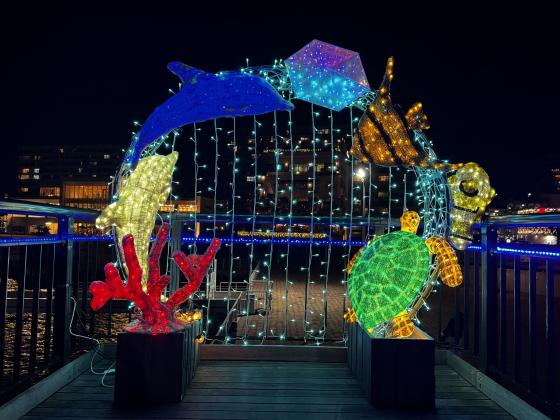 イルミネーション①