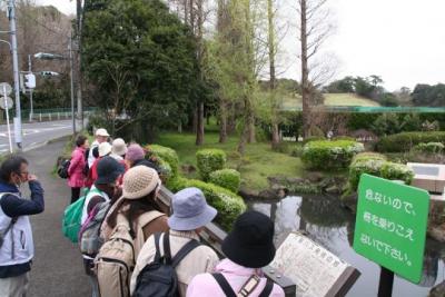 魅力発見ウオーキング（H28）オオガハス
