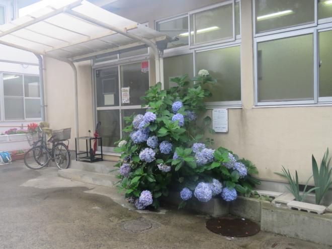 05_kemigawakouminkan