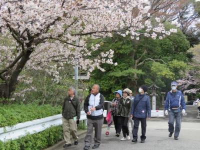 花見川区魅力発見ウオーキング（H28）ウオーキングの様子