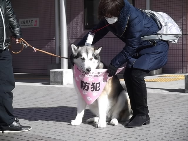 遠目には黒い字が映える写真