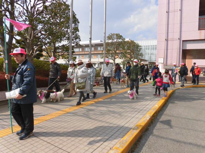 バンダナお披露目ウォーキングの様子