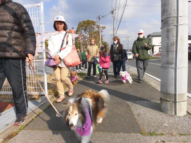 バンダナお披露目ウォーキングの様子