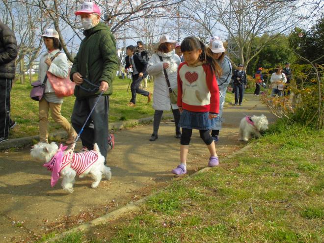 バンダナお披露目ウォーキングの様子