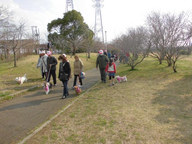 バンダナお披露目ウォーキングの様子
