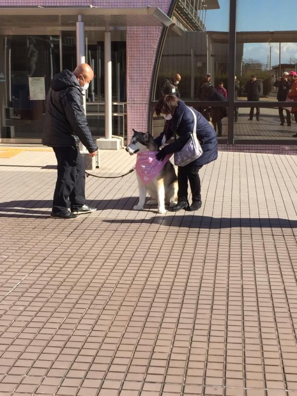 遠くから見ているところ