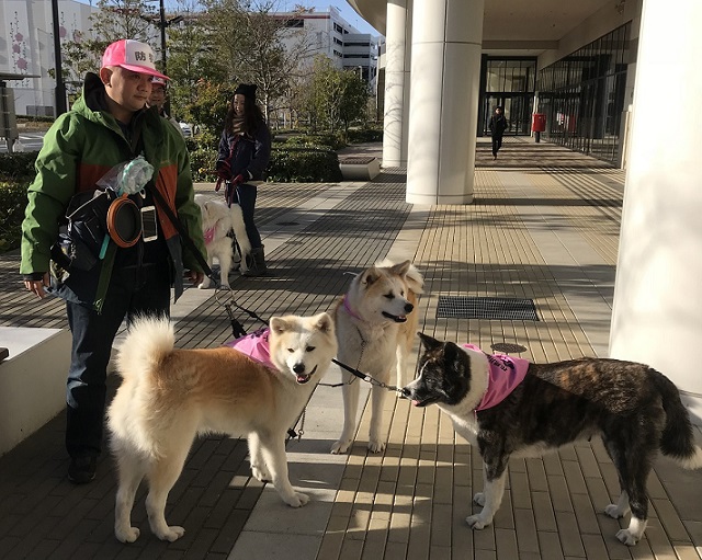 リク_タク_ナナ