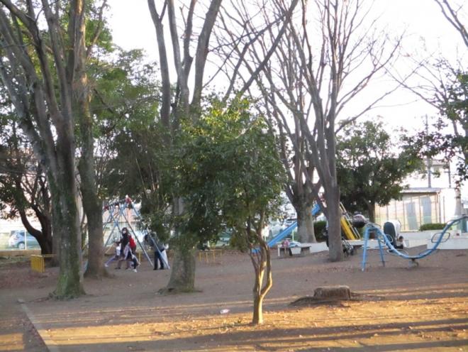 一本松公園の遊具が見える画像