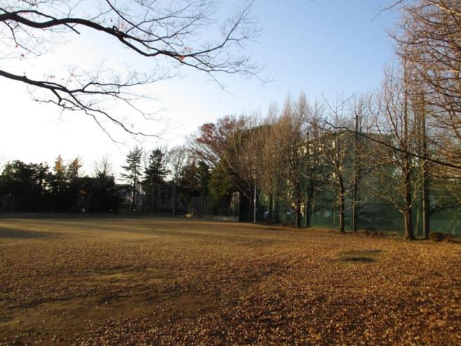 一本松公園の広場の画像
