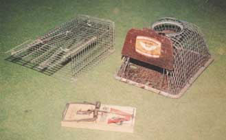 ネズミ捕り（一例）