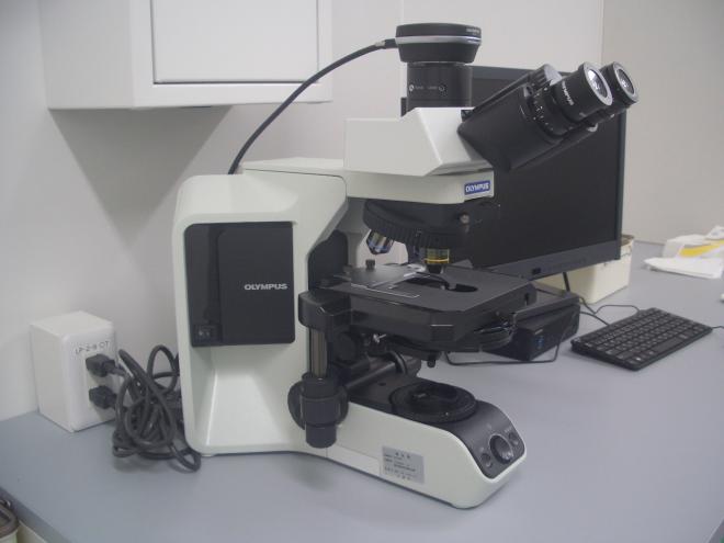 phase-contrast-microscopes