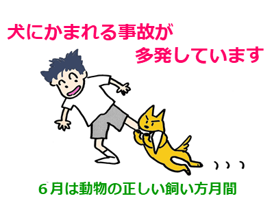 犬にかまれる事故が多発しています