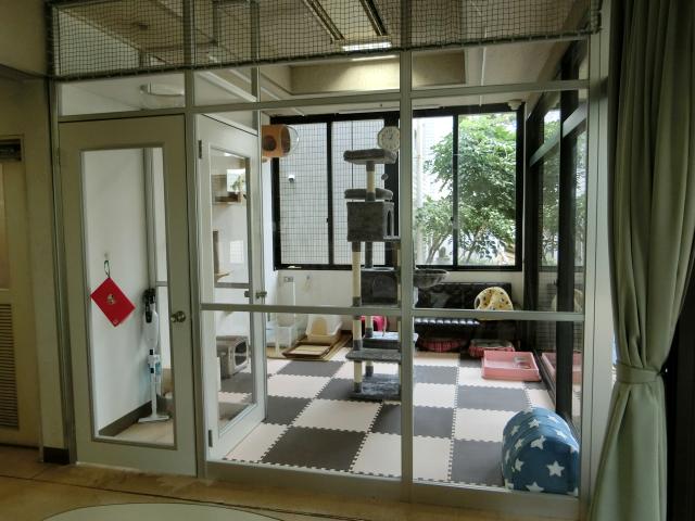 猫のお部屋外観
