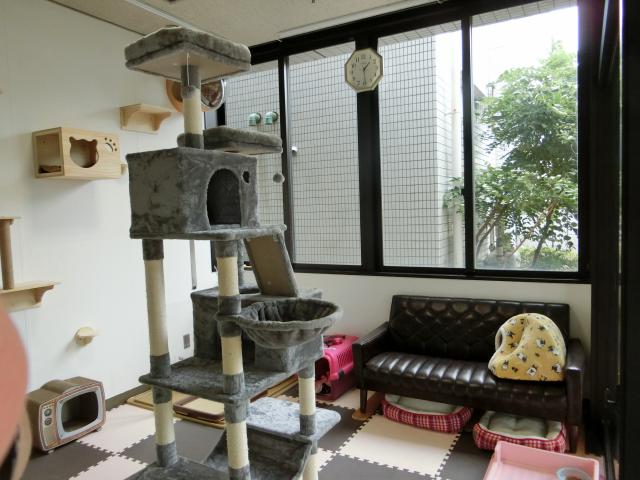 猫のお部屋内部