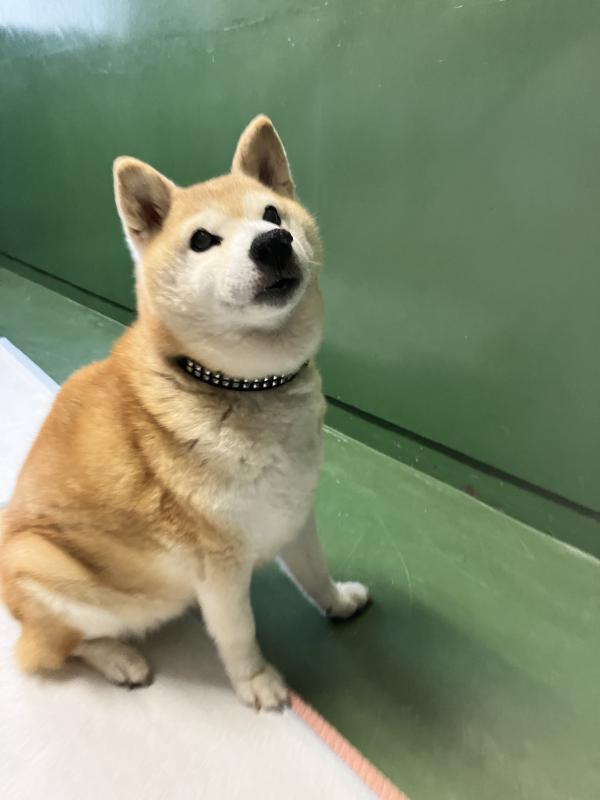 ふう