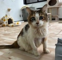 まる