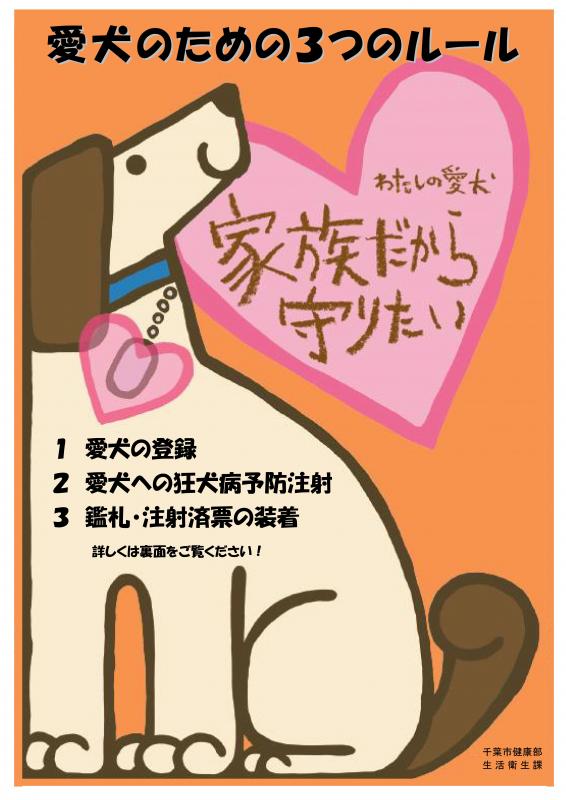 愛犬のための3つのルール