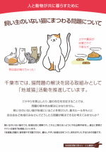 飼い主のいない猫