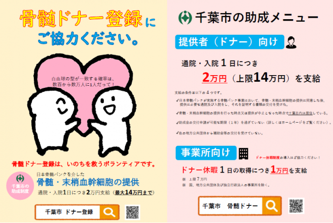 骨髄リーフレット2026両面HP用