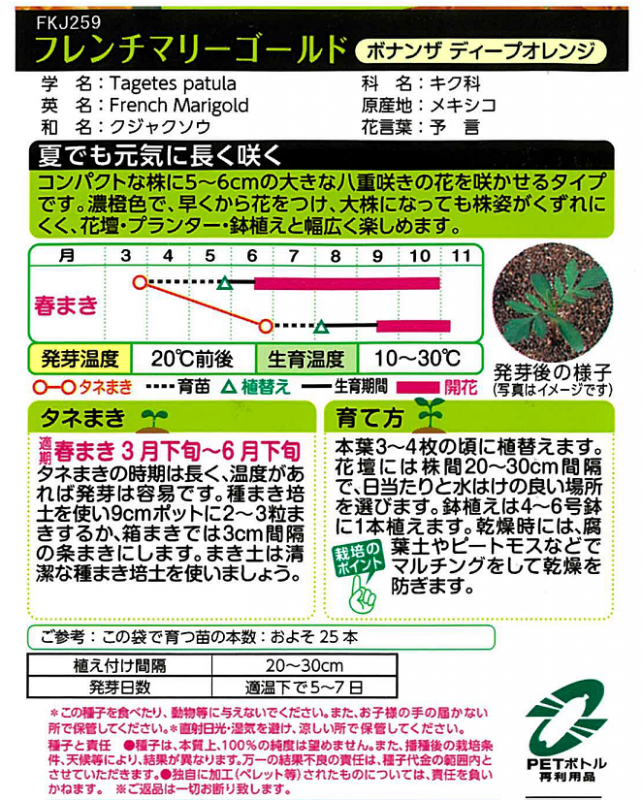 マリーゴールド育て方