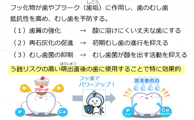 フッ化物のむし歯予防効果