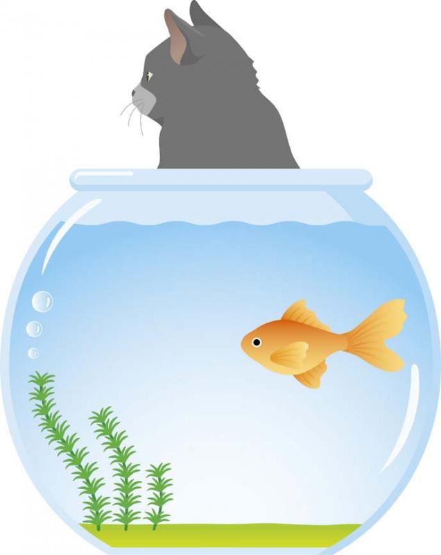 こころの体温計ストレス低