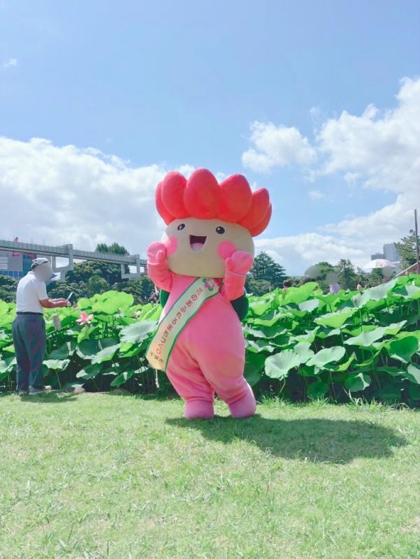 ちはなちゃん