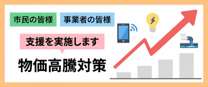 物価高対策
