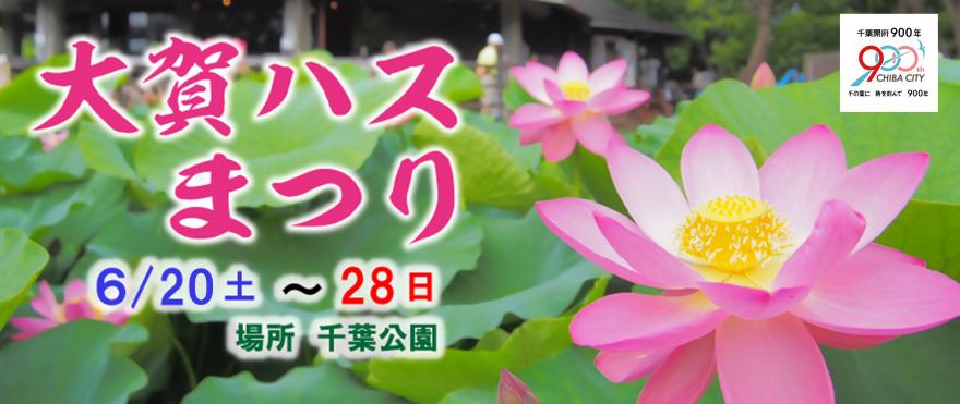 大賀ハスまつり