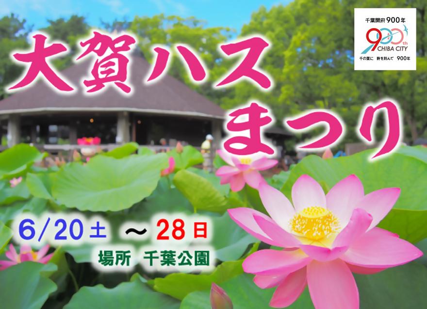 大賀ハスまつり
