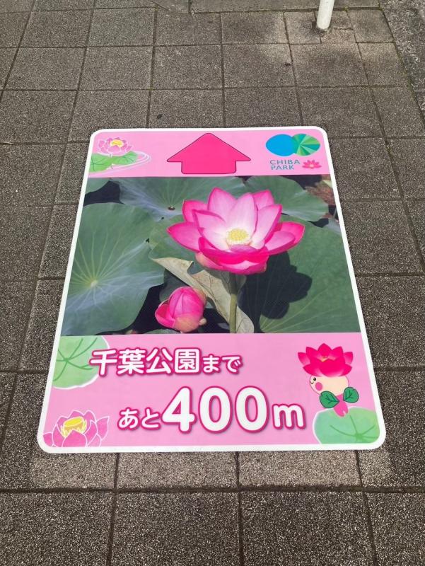 路面シート大賀ハス２