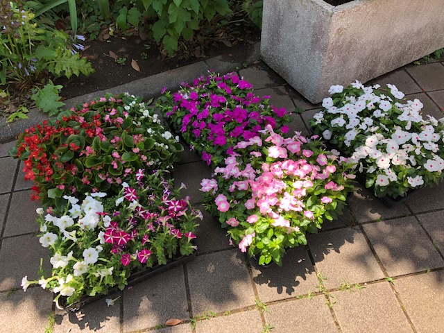 20200702活動写真1