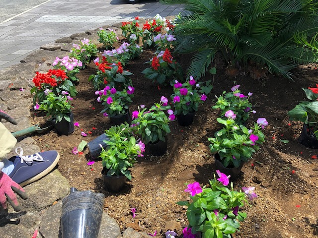 20200702活動写真2