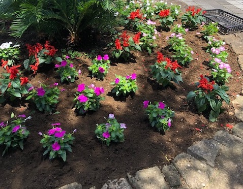 20200702活動写真3