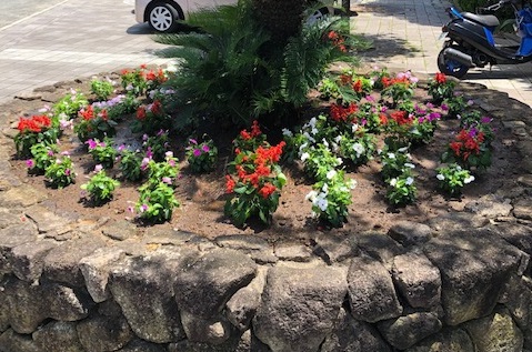 20200702活動写真4