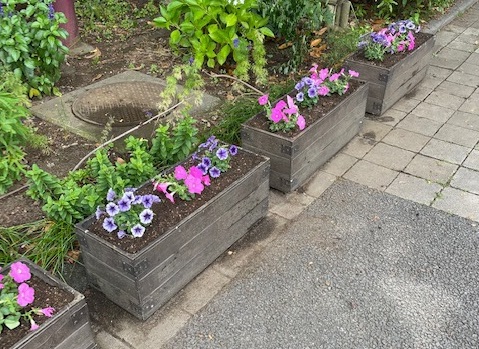 20210707活動写真3