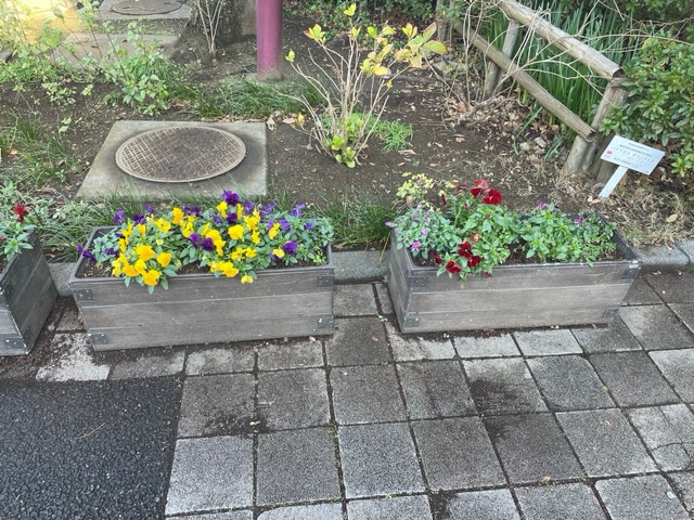 20211215活動写真1