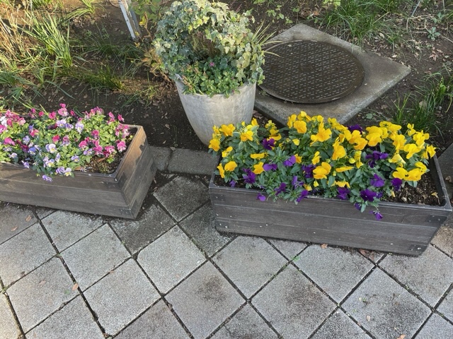 20211215活動写真3