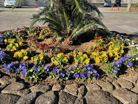 20211215活動写真4